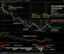 Polkadot冲破431美元门槛，多头行情是否已经开启？-九游体育官网