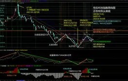 Polkadot冲破431美元门槛，多头行情是否已经开启？-九游体育官网