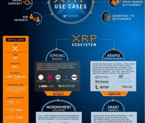 关于OP上扬势惊人，一夜飙升XRP%，加密市场沸腾的信息-九游体育官网