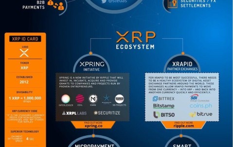 关于OP上扬势惊人，一夜飙升XRP%，加密市场沸腾的信息-九游体育官网