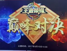 公开赛巅峰对决！海滨火狐队险胜西城青龙队，板球赛场再起波澜；细节处理更胜一筹